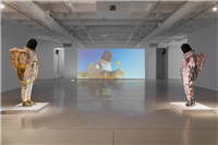 Installation view of Vabvakure