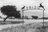 Osire, Otjozondjupa, Namibia