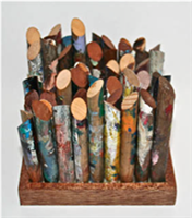 Painted Pegs