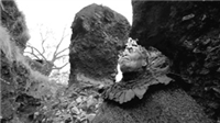 The Cradle of Humankind