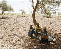Three men rest at the side of the track between Bute Asbestos Mine and Heuningvlei in Northern Cape. 18 December 2002