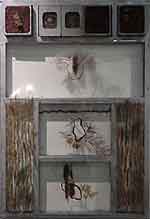 Siobhan Margaret McCusker