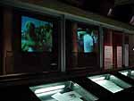 Apartheid Museum