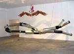 Wim Botha