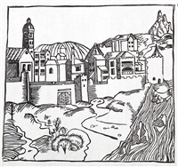 Bougain Villas