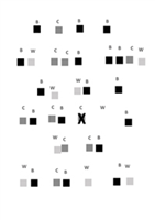 preparatory diagram for the series, Native Life